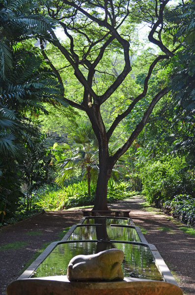 Allerton Gardens, Poipu, Kauai
