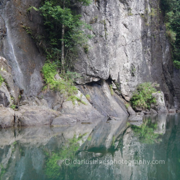 Reflections on the Navua River