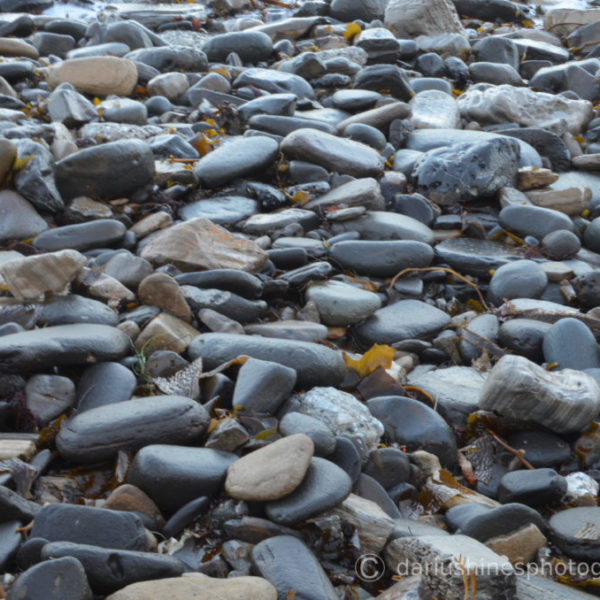 San Pedro Pebbles