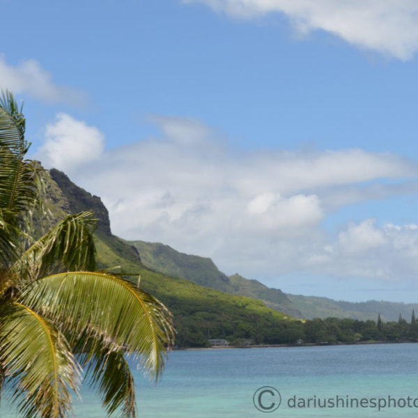 Beach north of Honolulu, Oahu, Hawaii